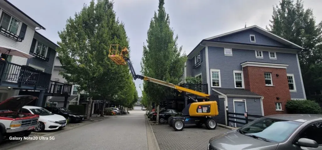 A yellow boom lift extends toward the top of a tall tree between residential buildings—also known as multi-unit buildings—on a cloudy day; cars are parked along the street.